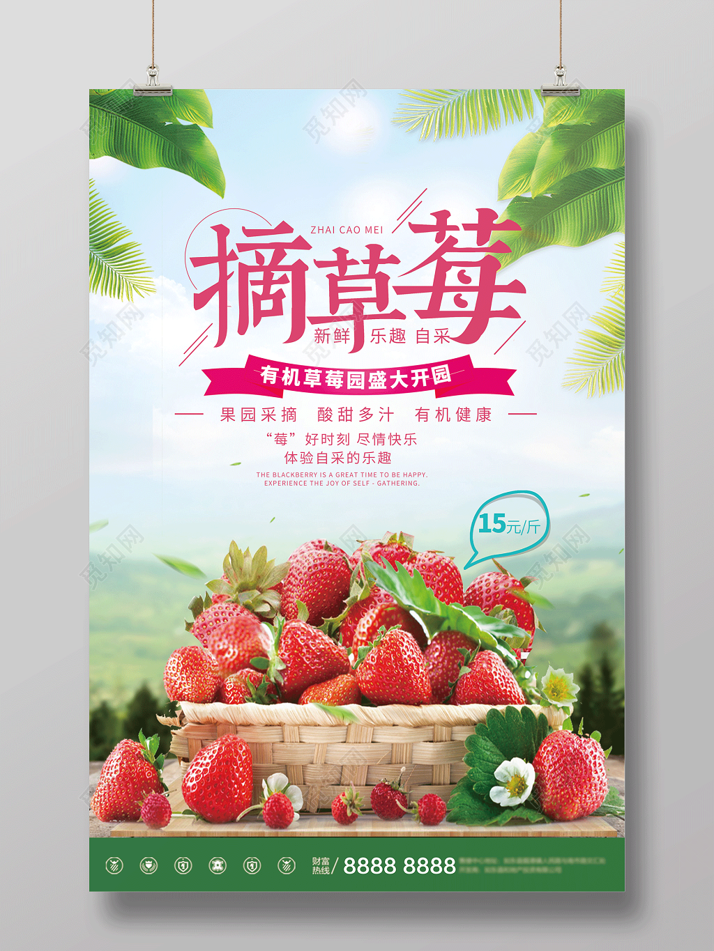 有机草莓园摘草莓水果宣传海报设计