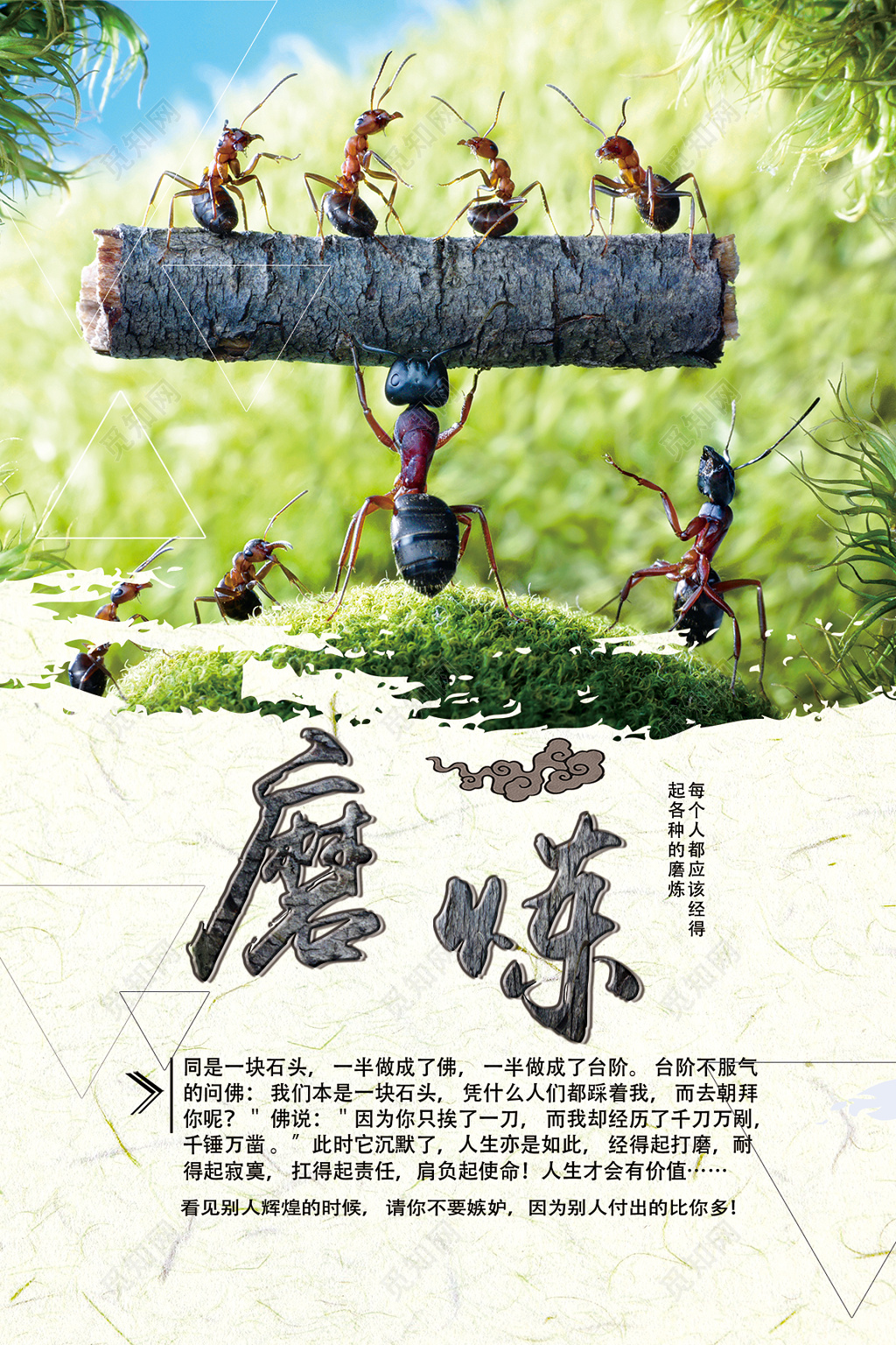 磨练每个人都应经受住磨练寓言故事宣传栏