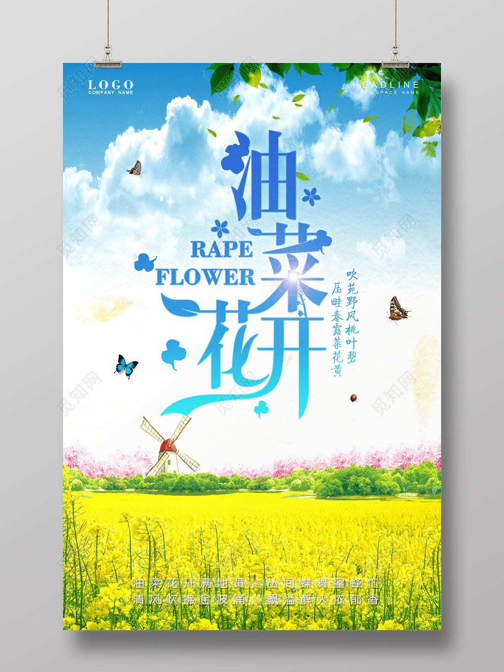 春季春天踏青春游油菜花海报 