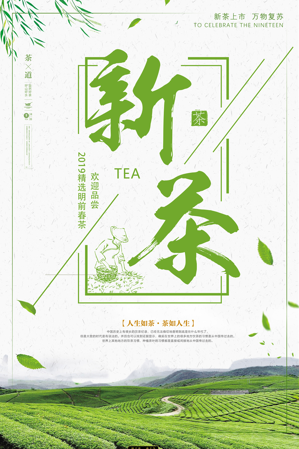 春茶茶叶宣传促销新茶上市海报