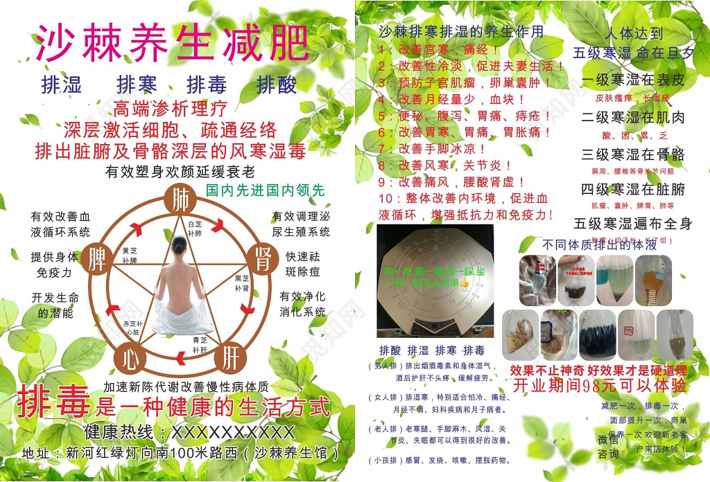 植物树叶养生减肥美容养生宣传单