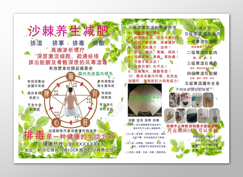 植物树叶养生减肥美容养生宣传单