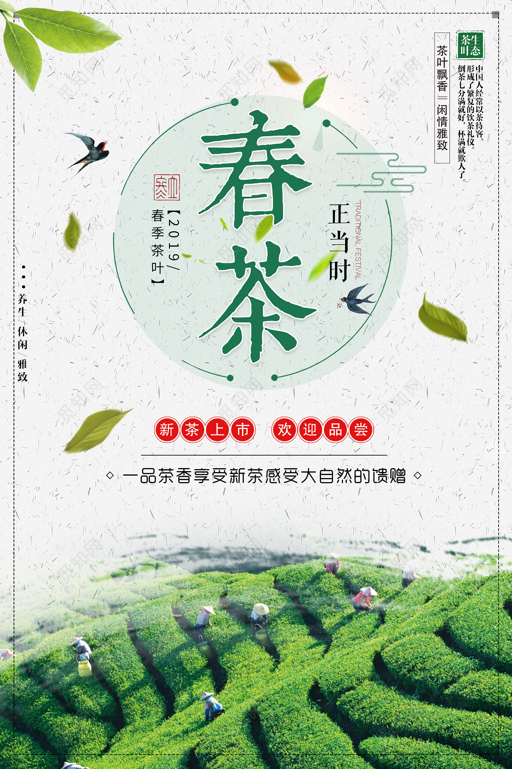 春茶宣传促销春茶新品上市欢迎品尝茶叶海报