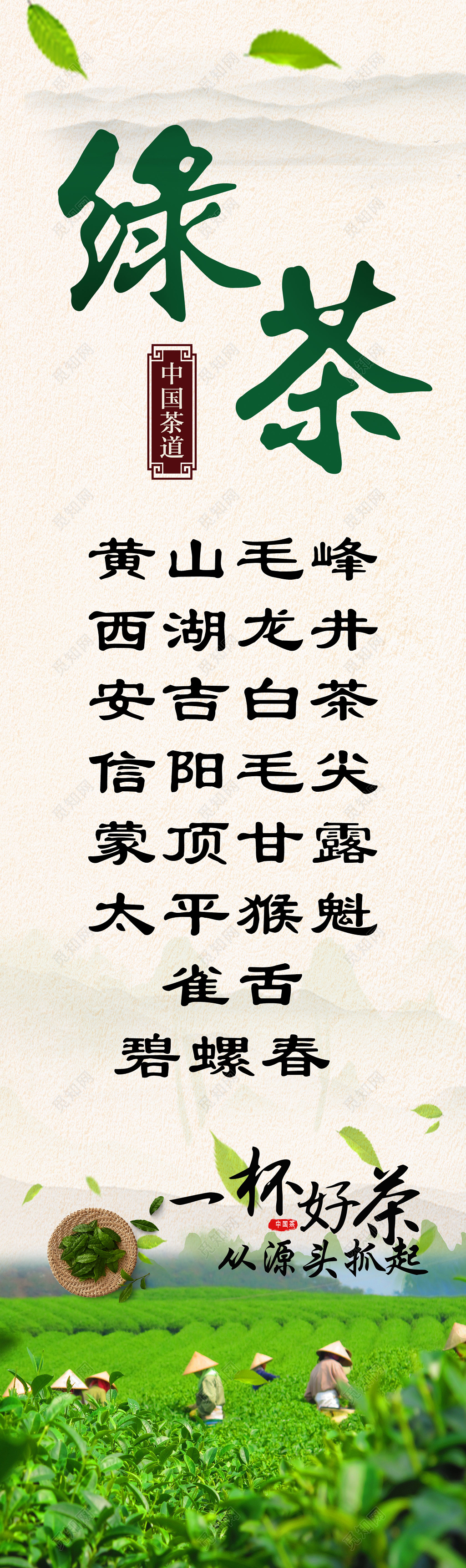 绿茶文化宣传茶叶文化宣传墙贴