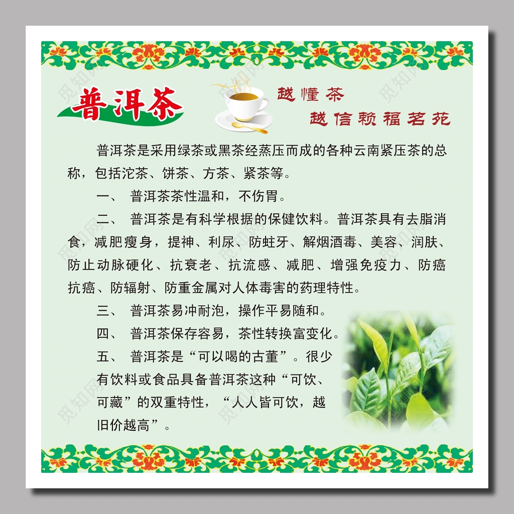 茶普洱茶文化绿色宣传展板