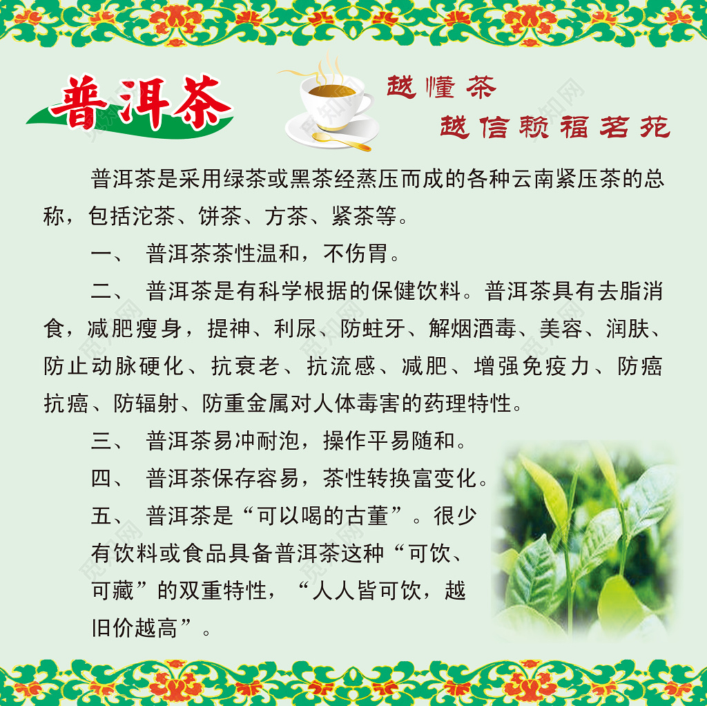 茶普洱茶文化绿色宣传展板