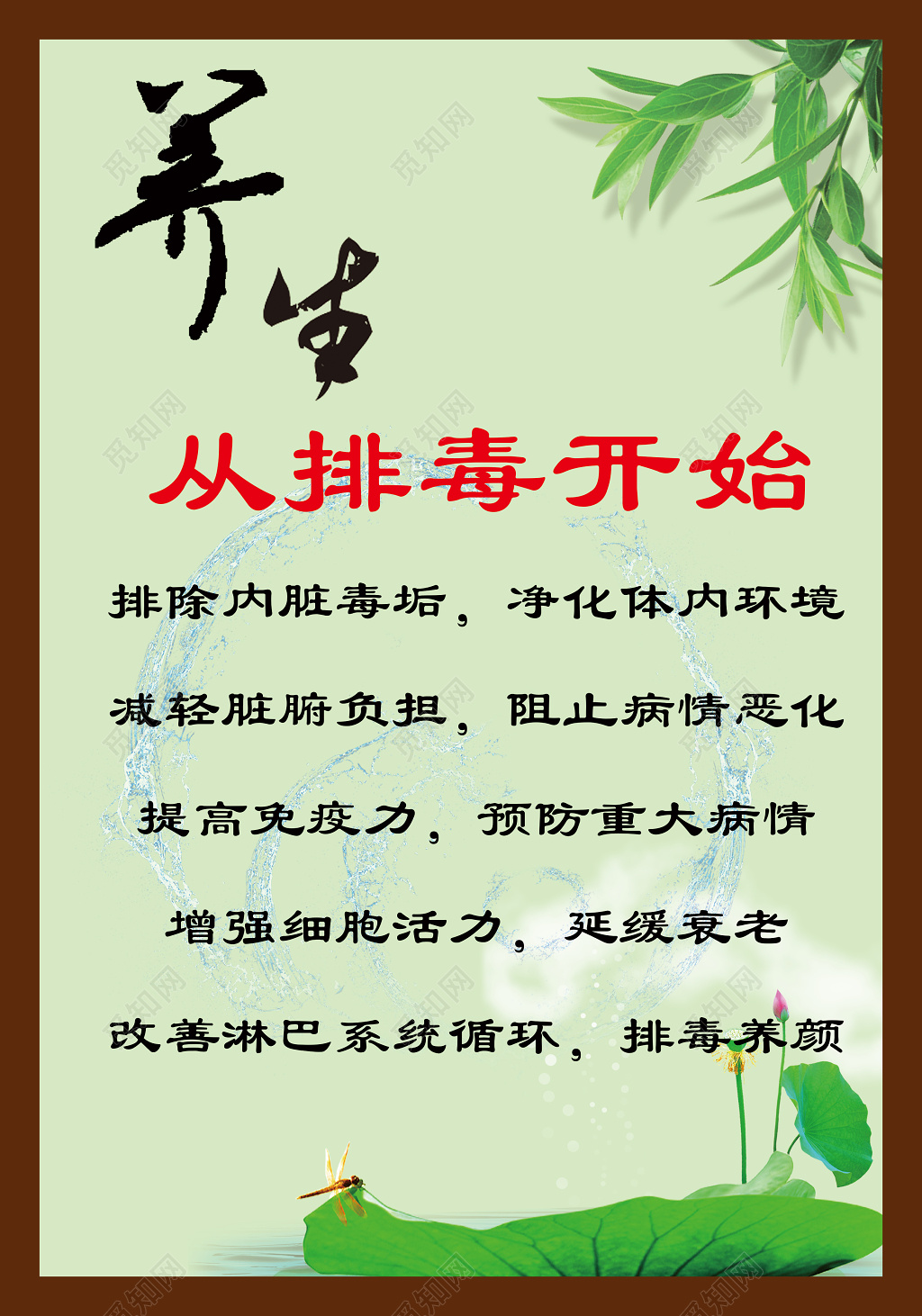 养生排毒知识文化宣传