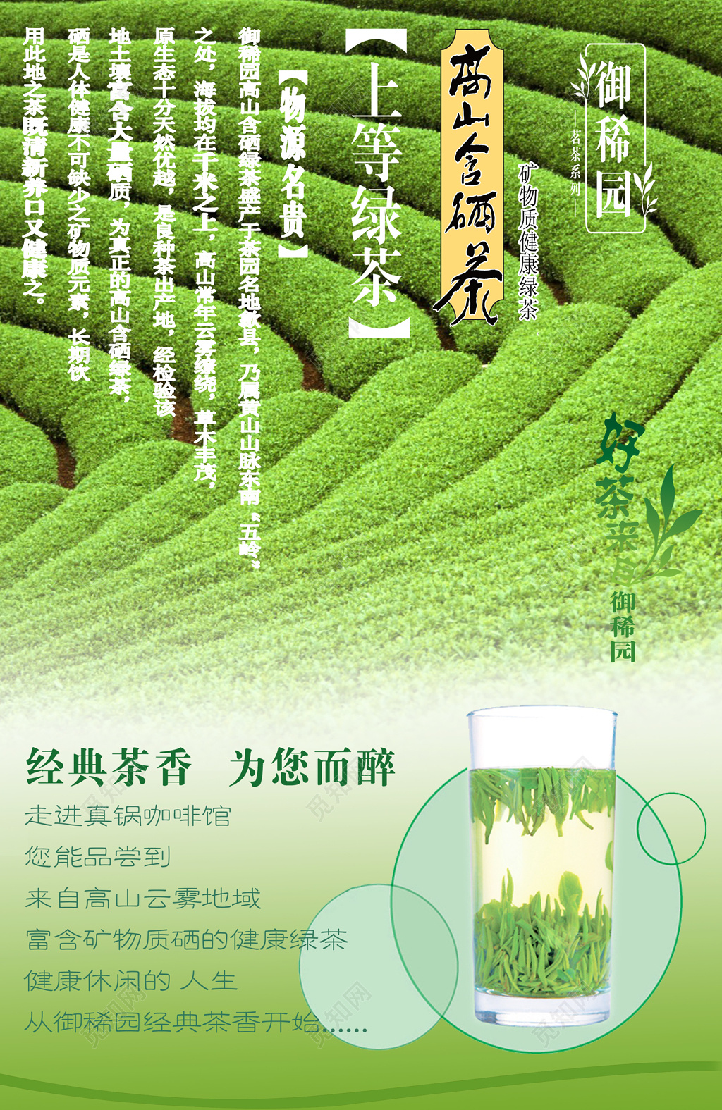 绿色清新茶叶海报背景