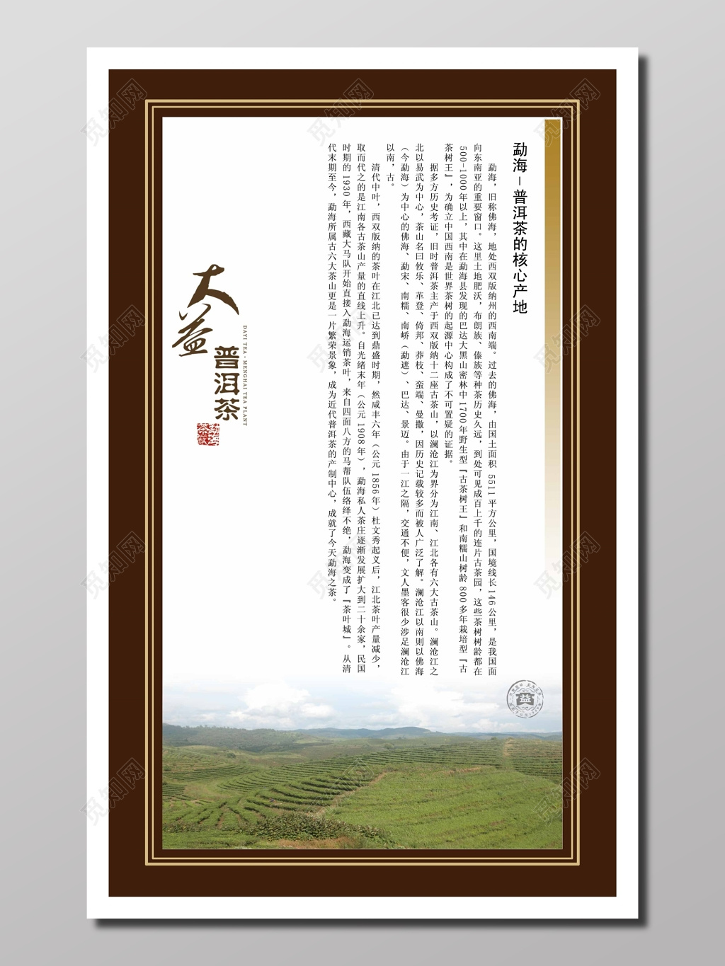 普洱茶茶叶茶文化图文说明棕色普洱茶品牌普洱茶产地茶叶宣传册