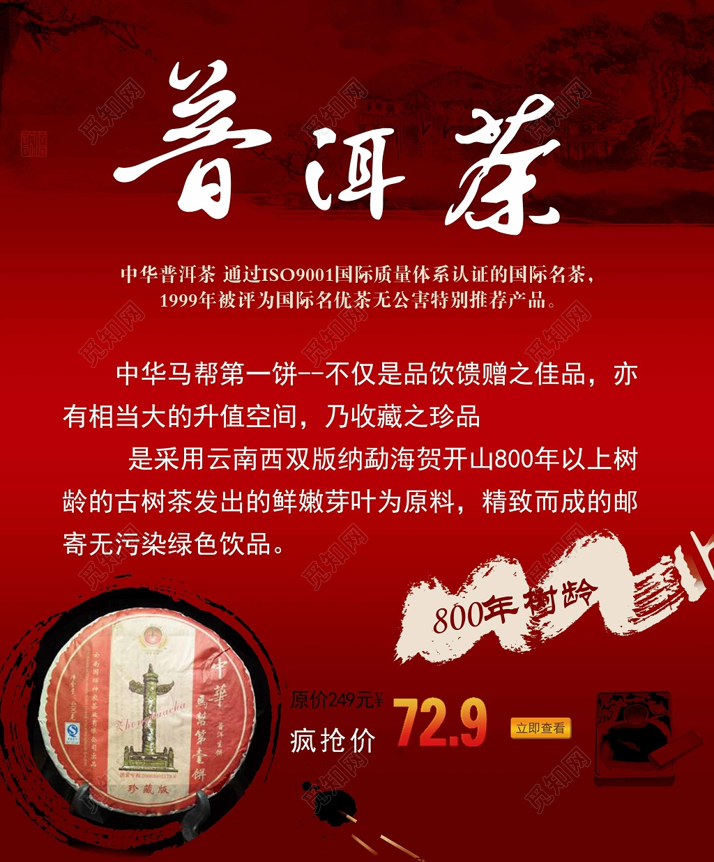 茶叶普洱茶茶品宣传红色庄重鲜明普洱茶中华马帮绿色饮品宣传单