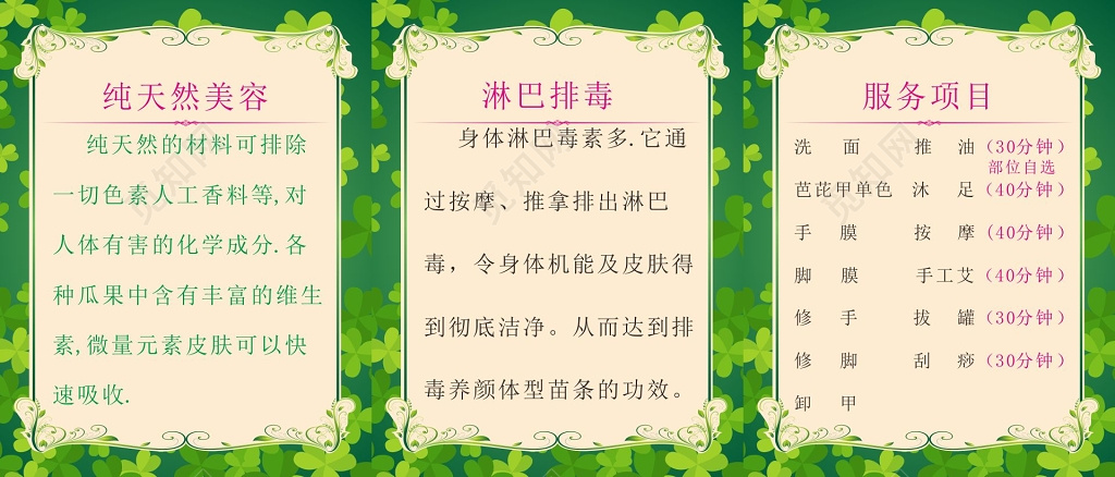 纯天然美容淋巴排毒中医养生美容养生海报