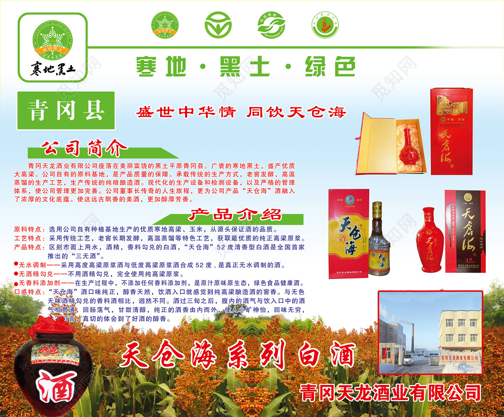 天沧海白酒宣传单