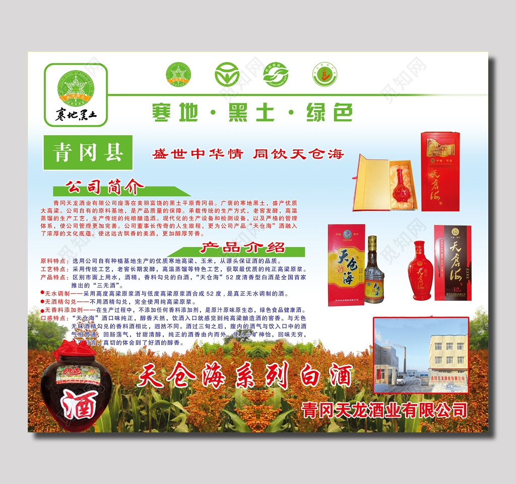 天沧海白酒宣传单