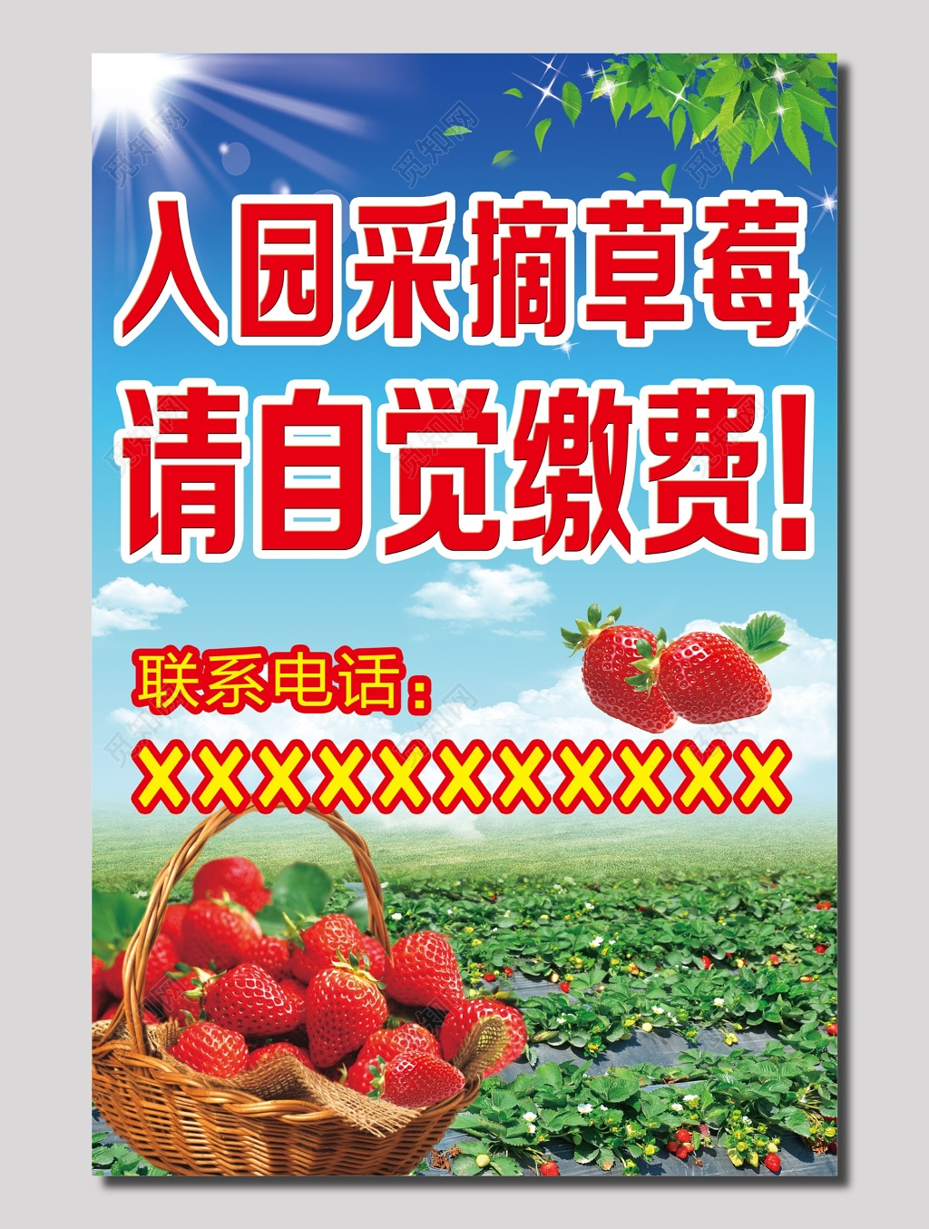 农家乐草莓宣传单