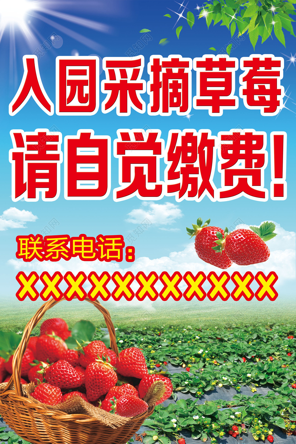 农家乐草莓宣传单