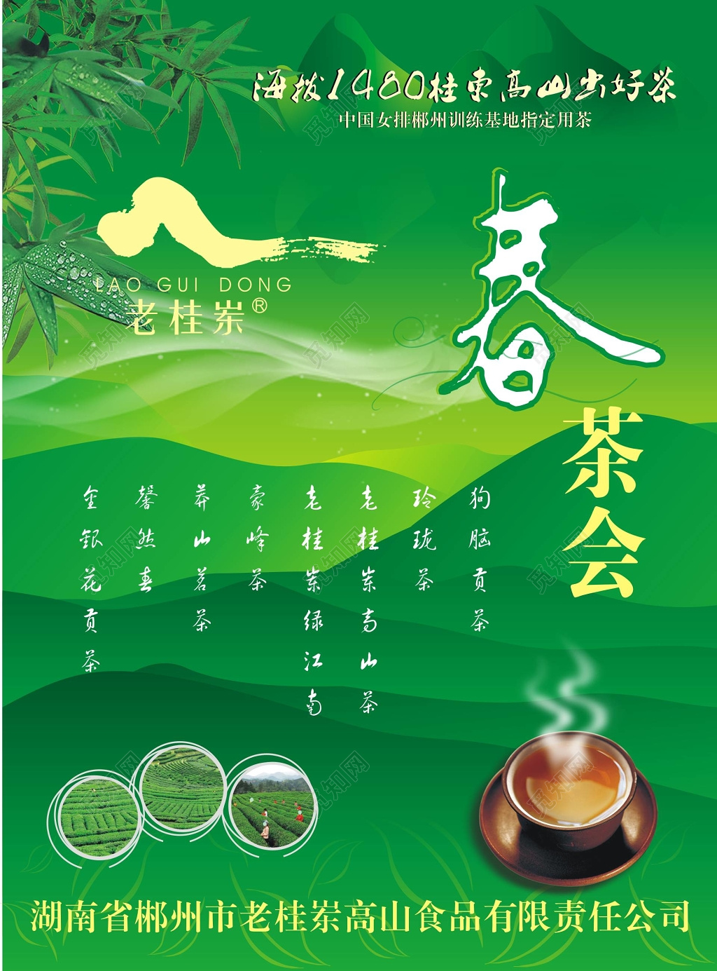 春茶新茶上市春茶会茶叶宣传海报