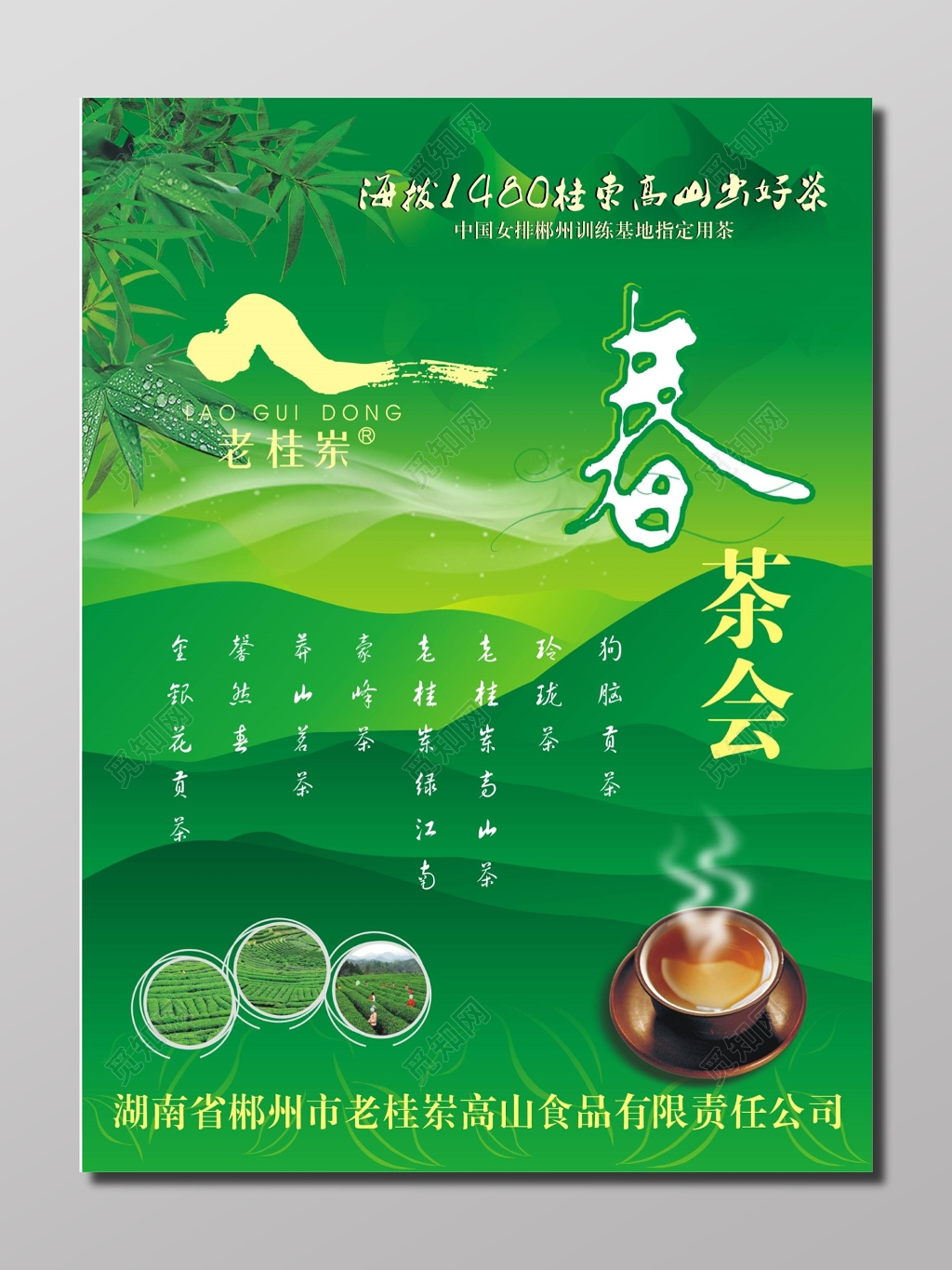 春茶新茶上市春茶会茶叶宣传海报