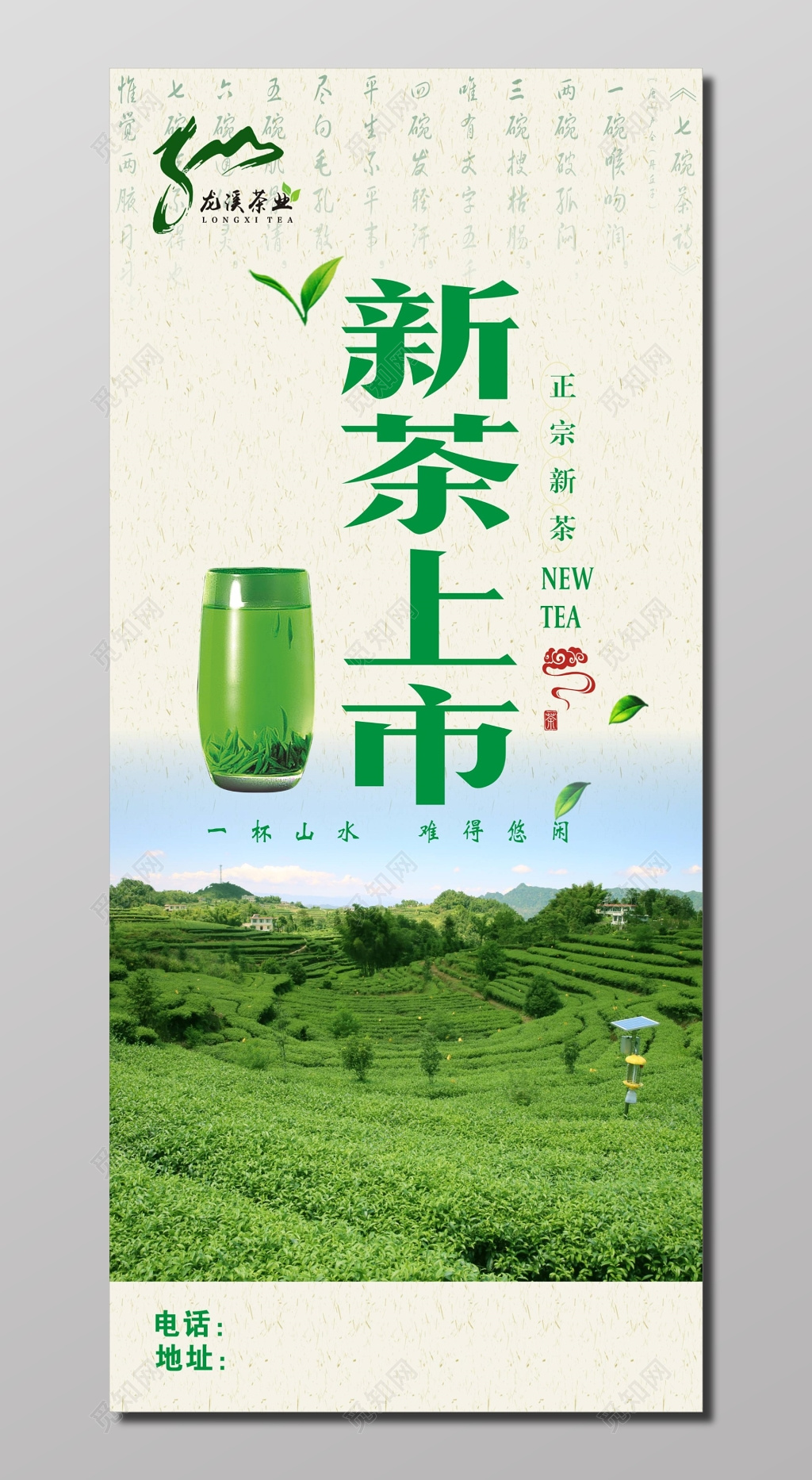 正宗新茶上市春茶茶叶大气宣传展架
