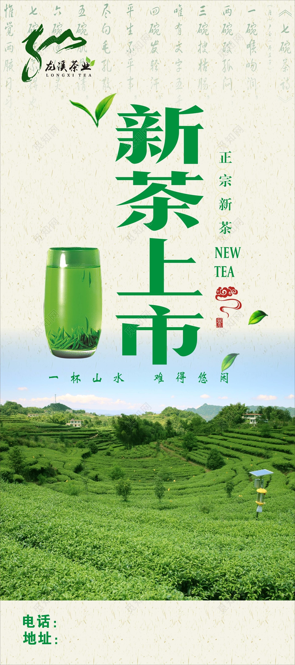 正宗新茶上市春茶茶叶大气宣传展架