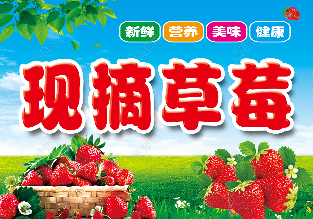 蓝天草地现摘草莓生鲜水果展板