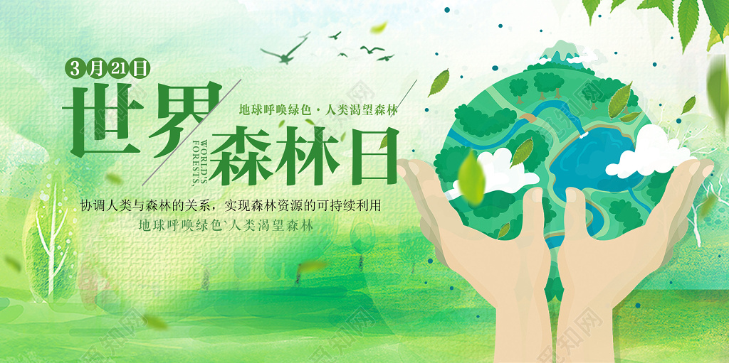 321世界森林日环境保护公益环保展板