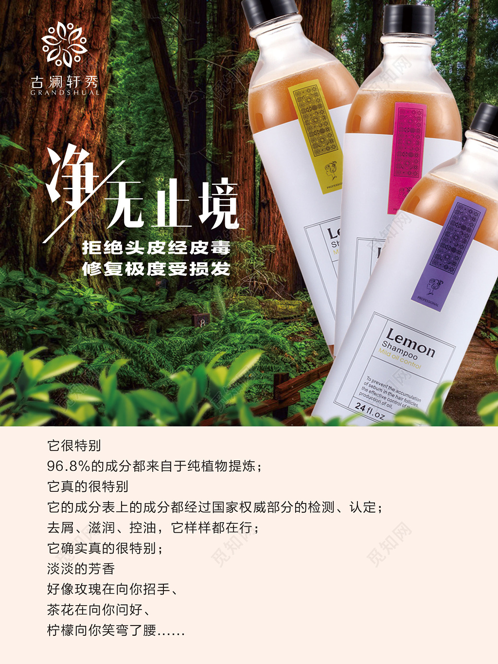 净无止境洗发水护发素海报设计