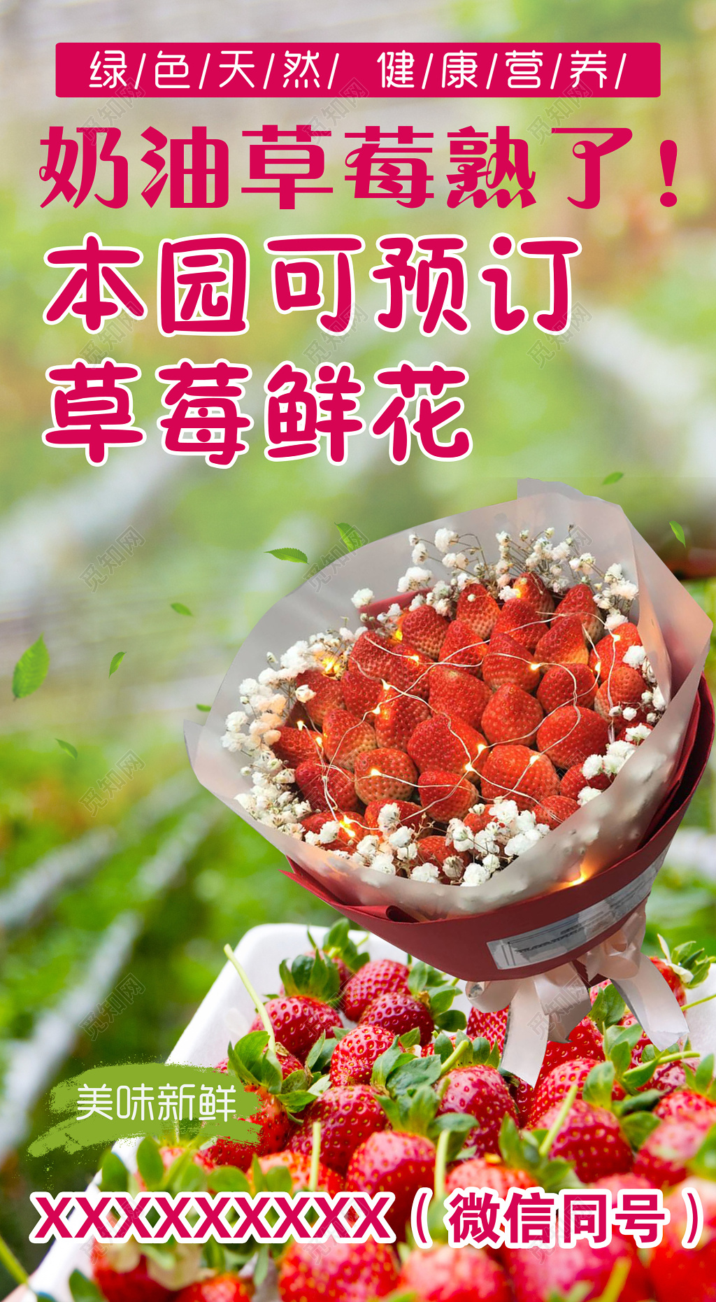 采摘园预定草莓鲜花奶油草莓生鲜水果海报