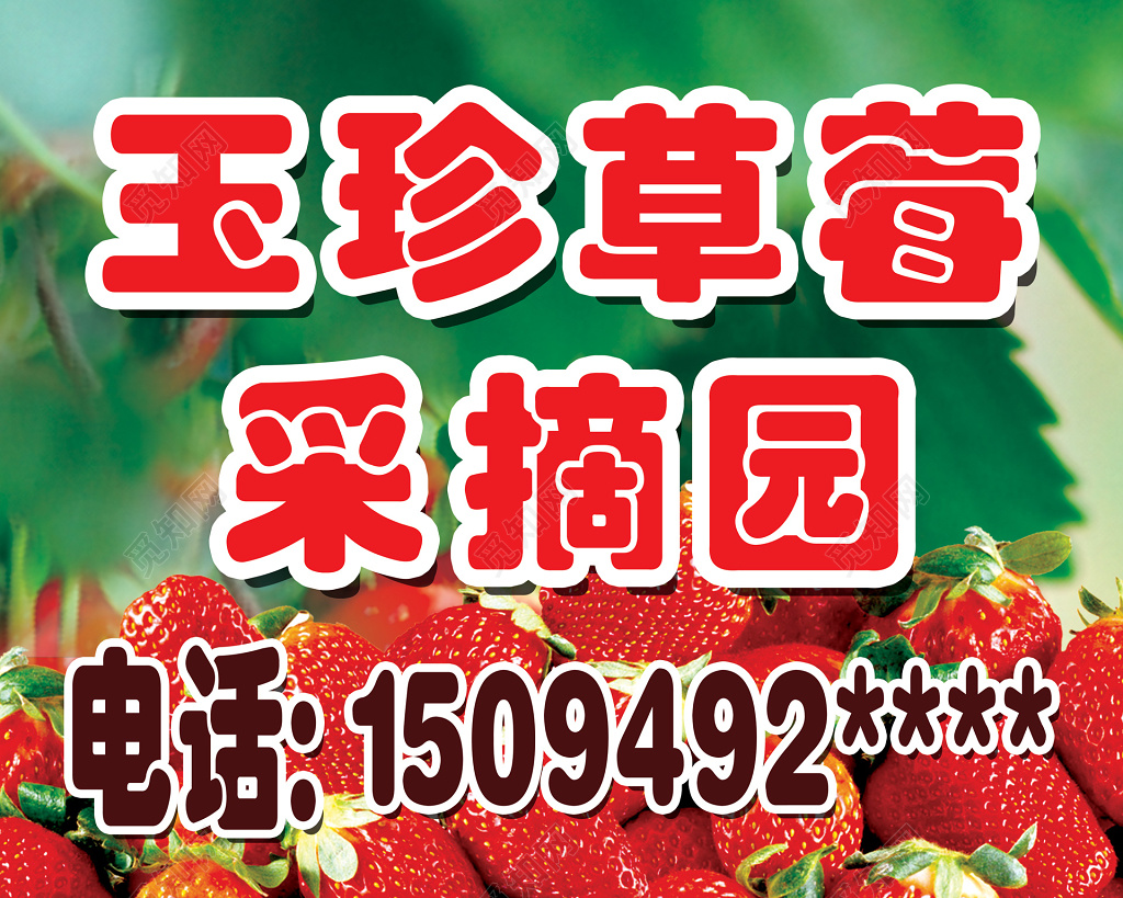 玉珍草莓采摘园生鲜水果宣传展板