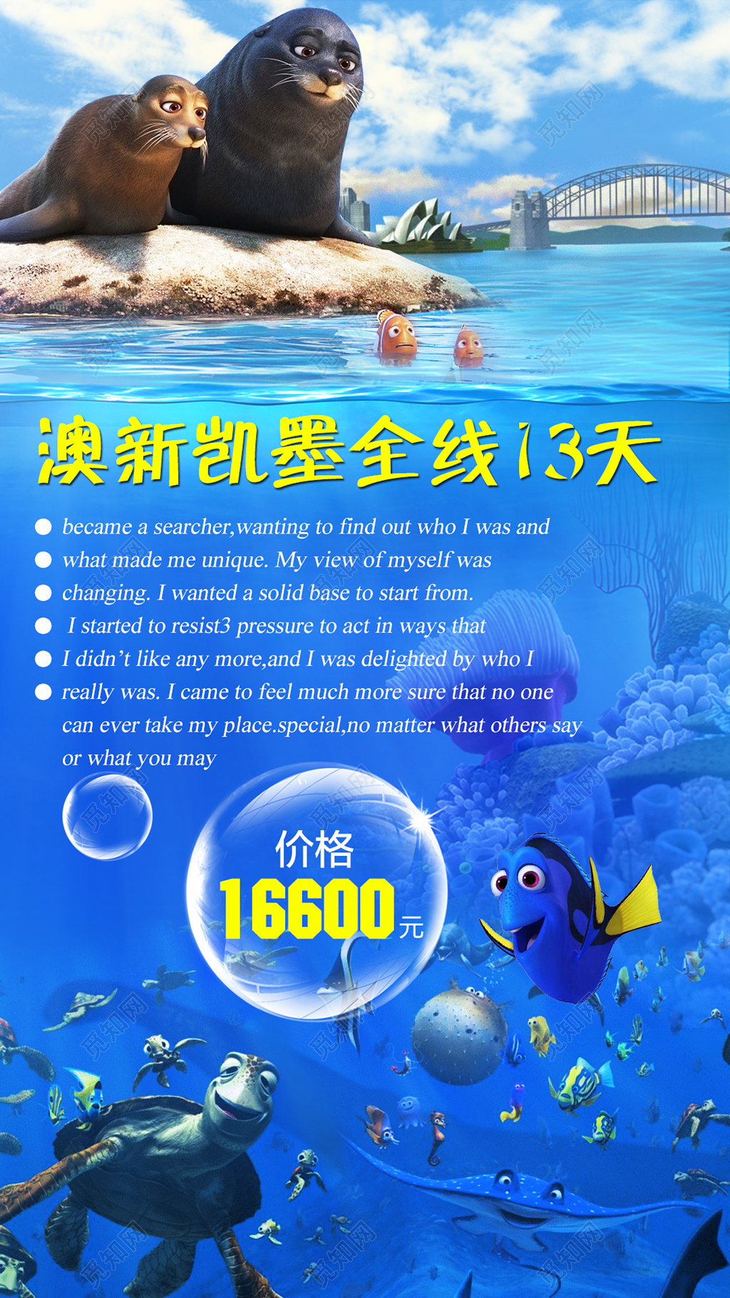 蓝色海洋海豹澳新凯墨全线澳洲旅游海报