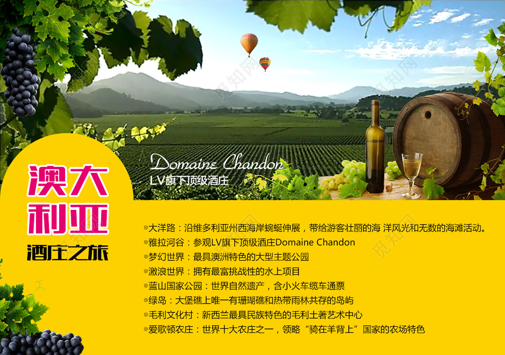 黄色澳大利亚酒庄之旅葡萄澳洲旅游展板