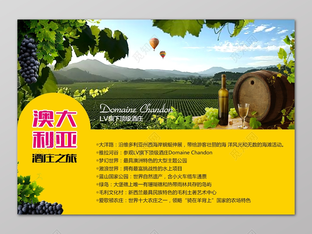 黄色澳大利亚酒庄之旅葡萄澳洲旅游展板