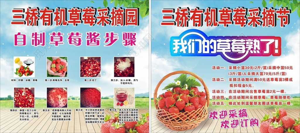 有机草莓生鲜水果采摘节宣传海报