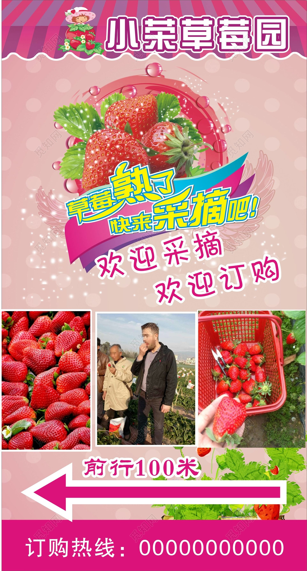 草莓生鲜水果采摘订购海报