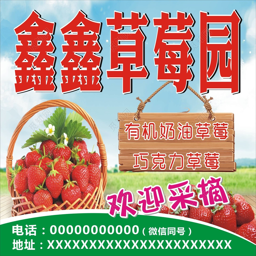 生鲜水果有机奶油草莓巧克力草莓草莓园采摘海报