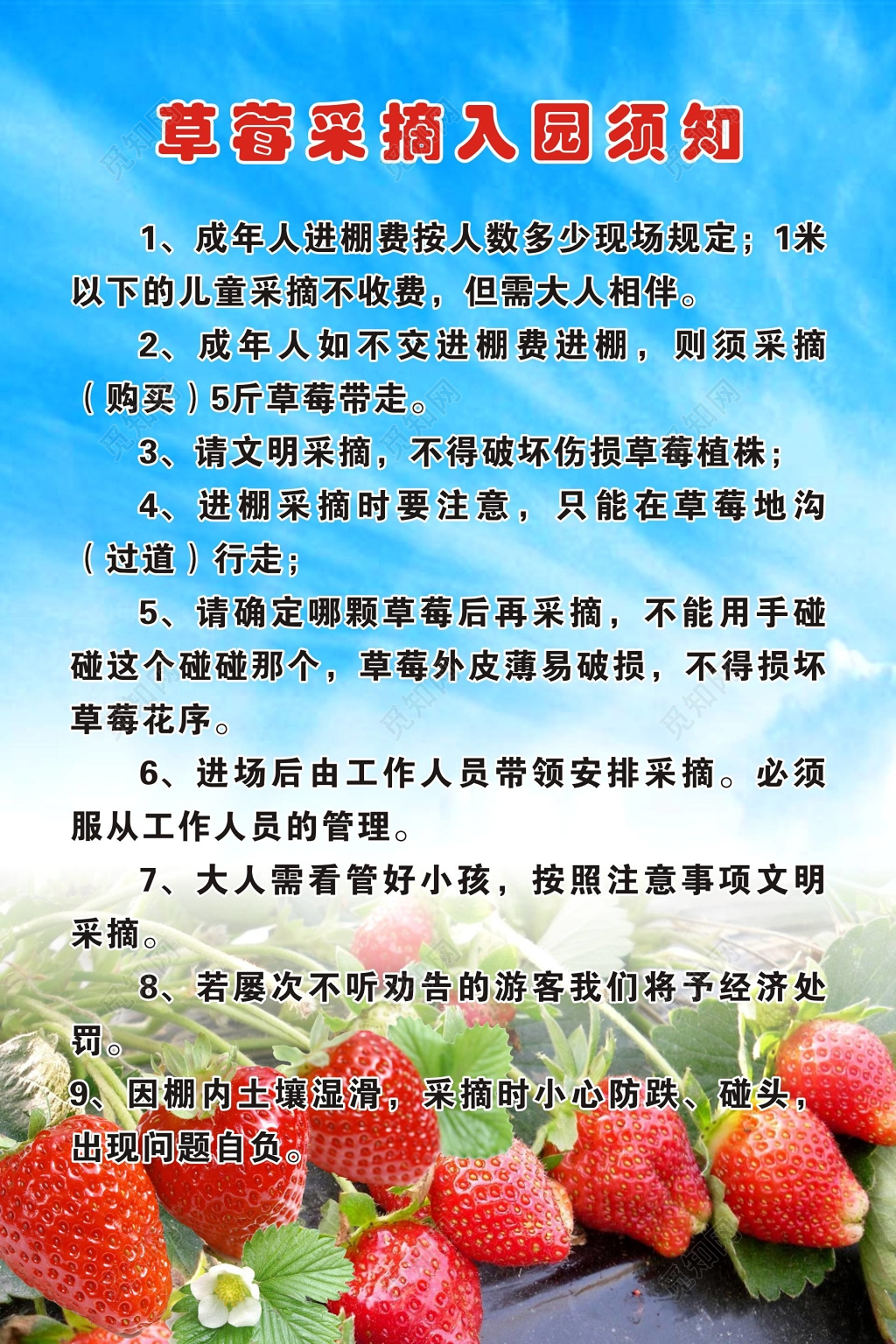 生鲜水果草莓采摘入园须知