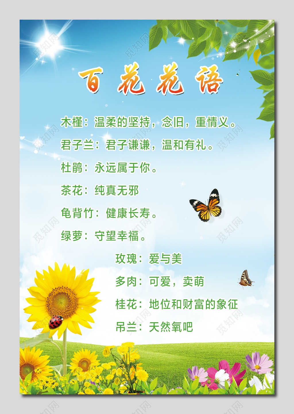 百花鲜花花语海报