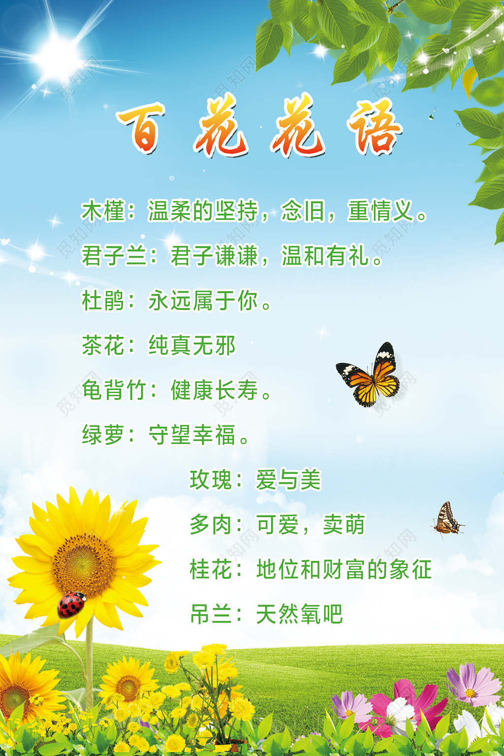 百花鲜花花语海报