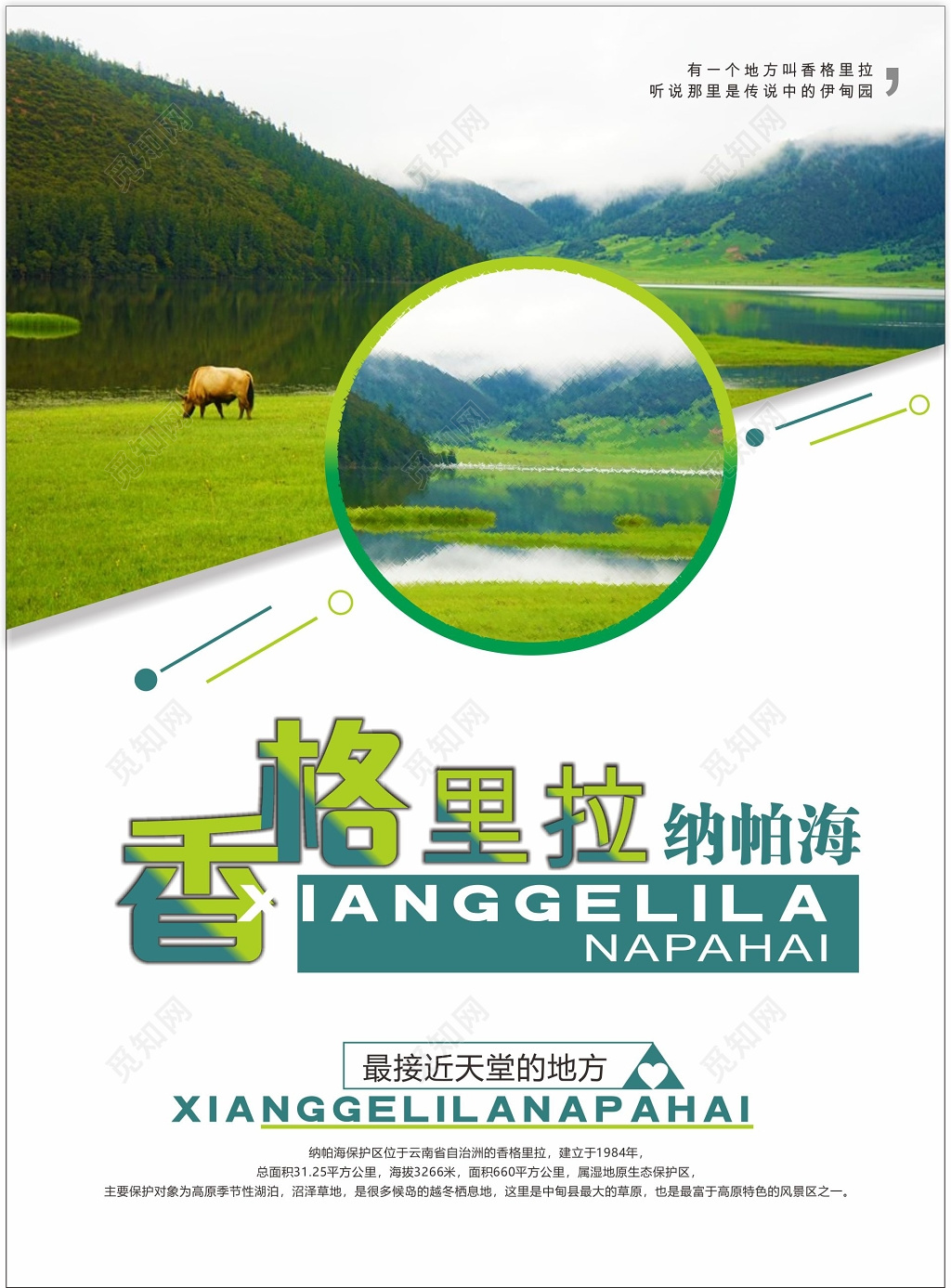 香格里拉旅游宣传海报纳帕海旅游