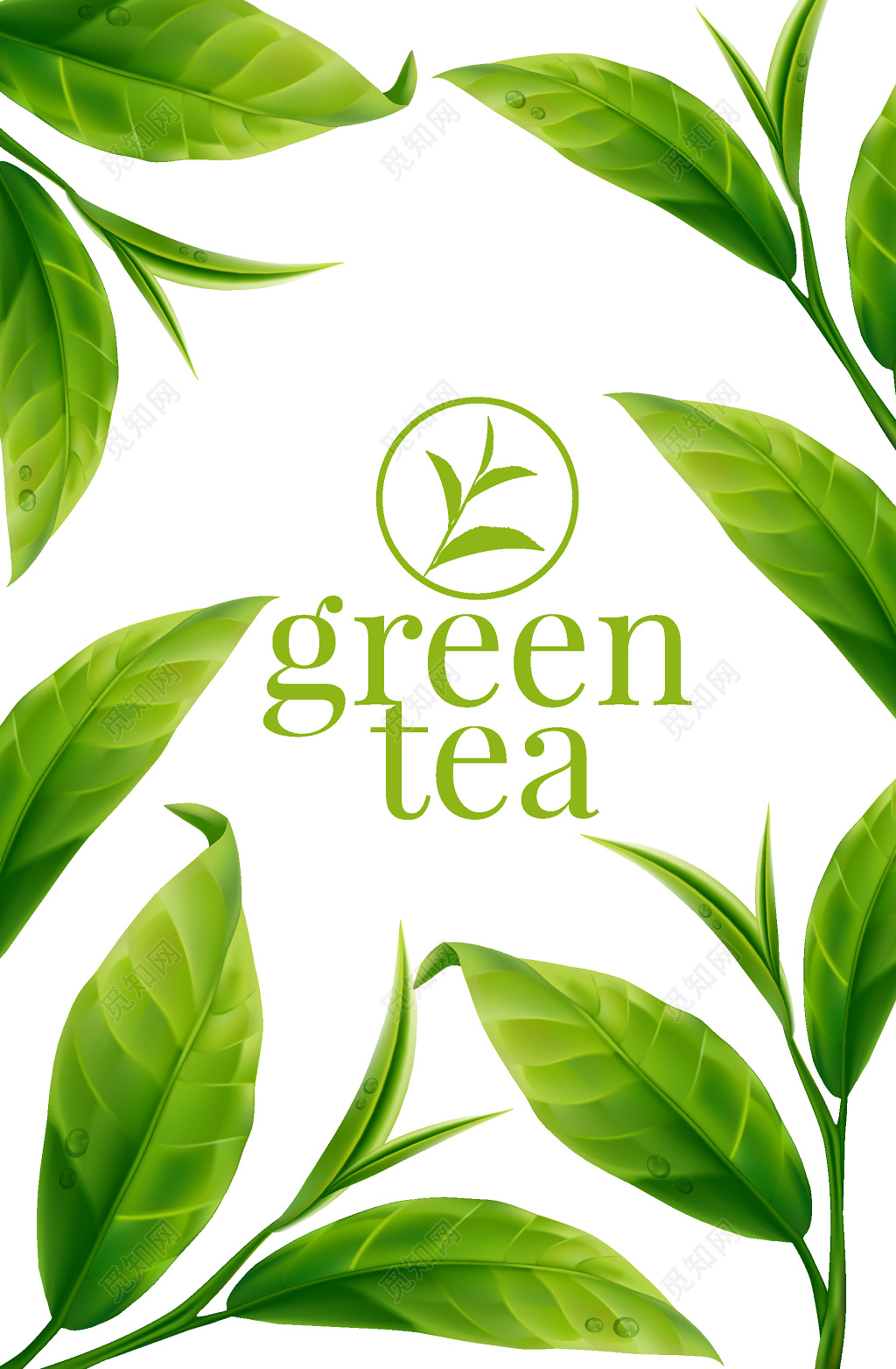 清新绿茶海报