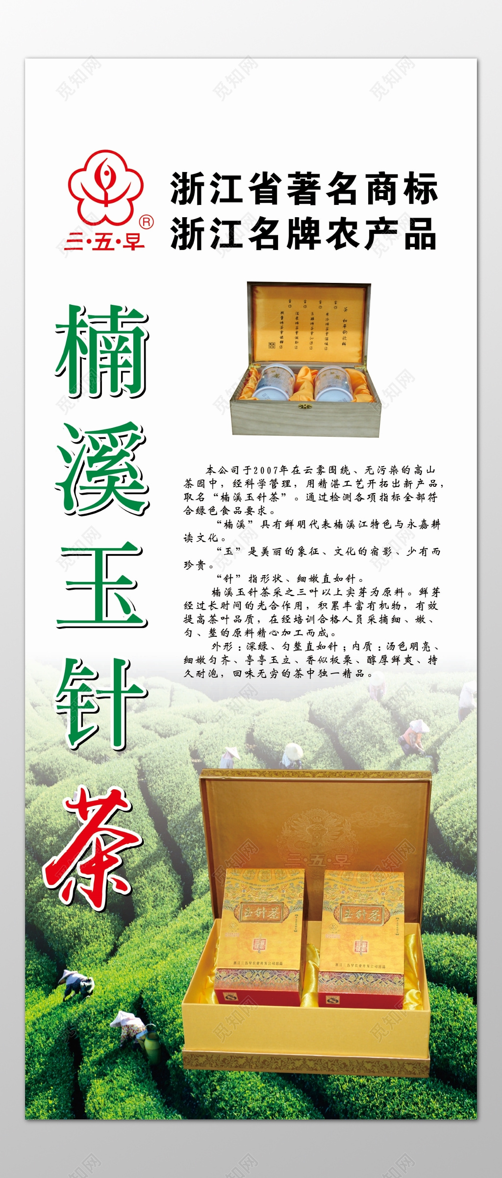 茶叶茶文化中国传统楠溪玉针茶名牌农产品海报模板