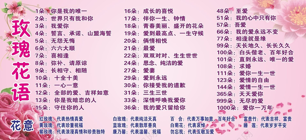 花语展板花店鲜花花语