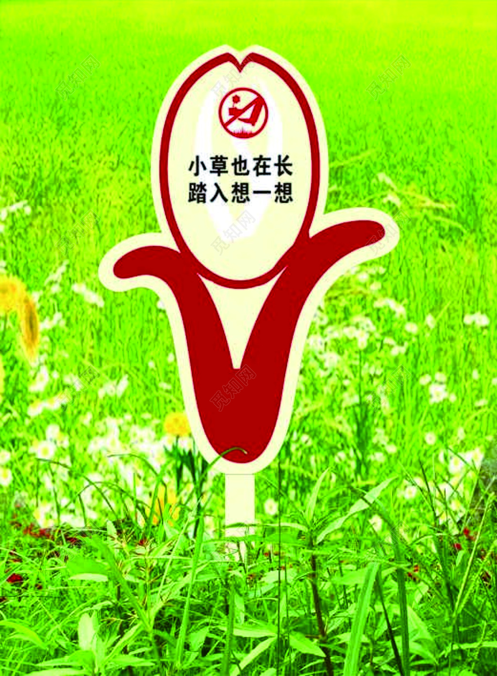 花草牌爱护花草标示牌小草也在长绿色草地标语牌