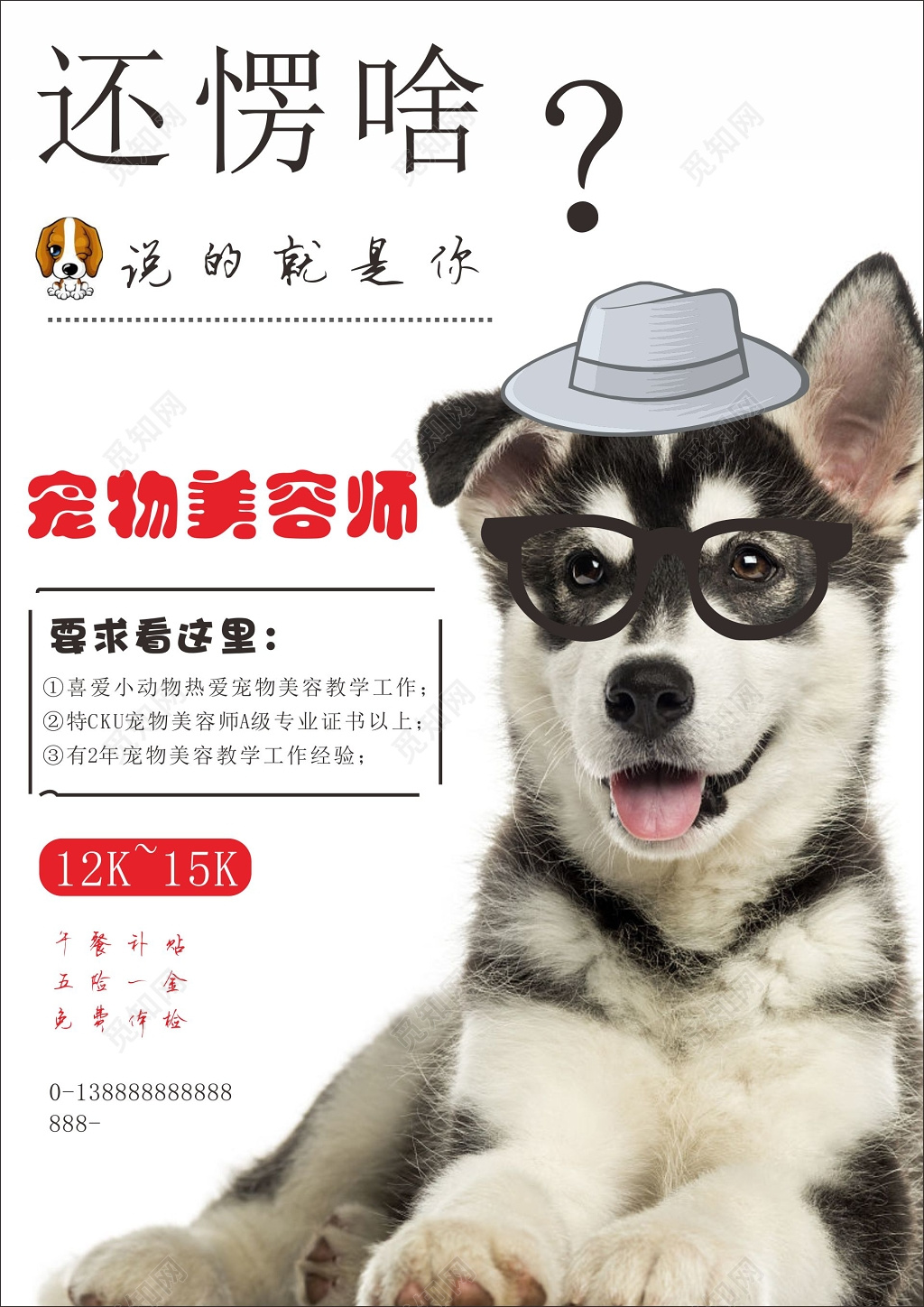 物店海报宠物美容宠物造型