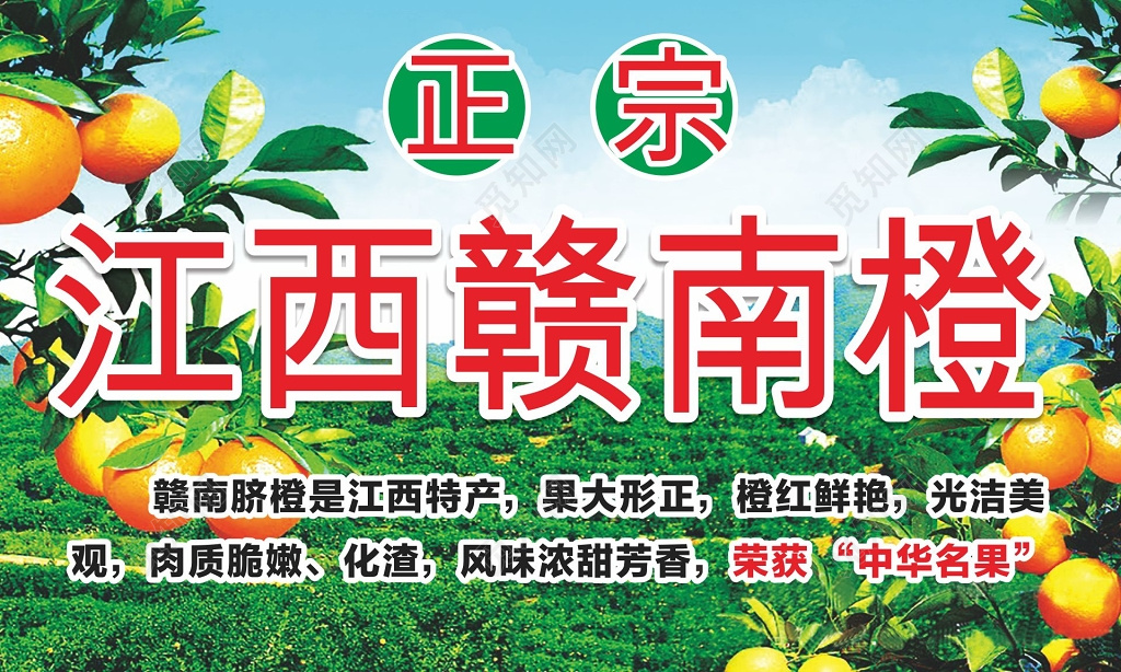 橙子海报生鲜新鲜水果销售海报