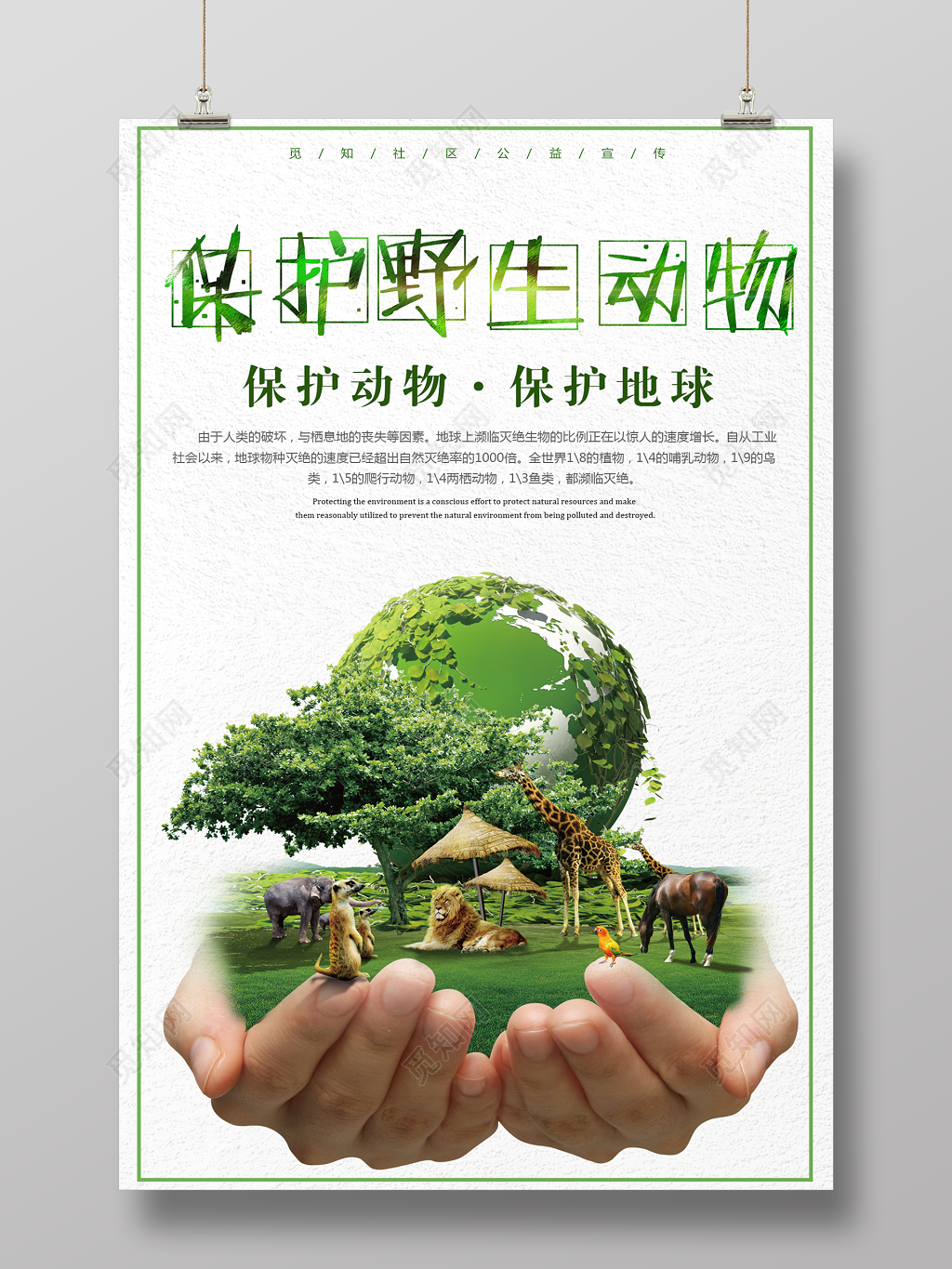 保护野生动物保护地球公益宣传动物园海报