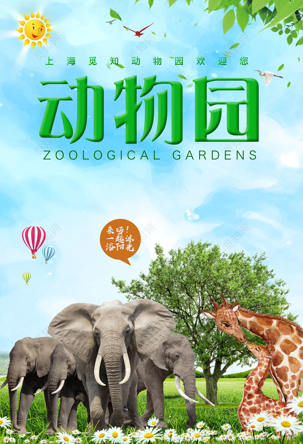 森林动物园大象长颈鹿动物世界保护动物海报