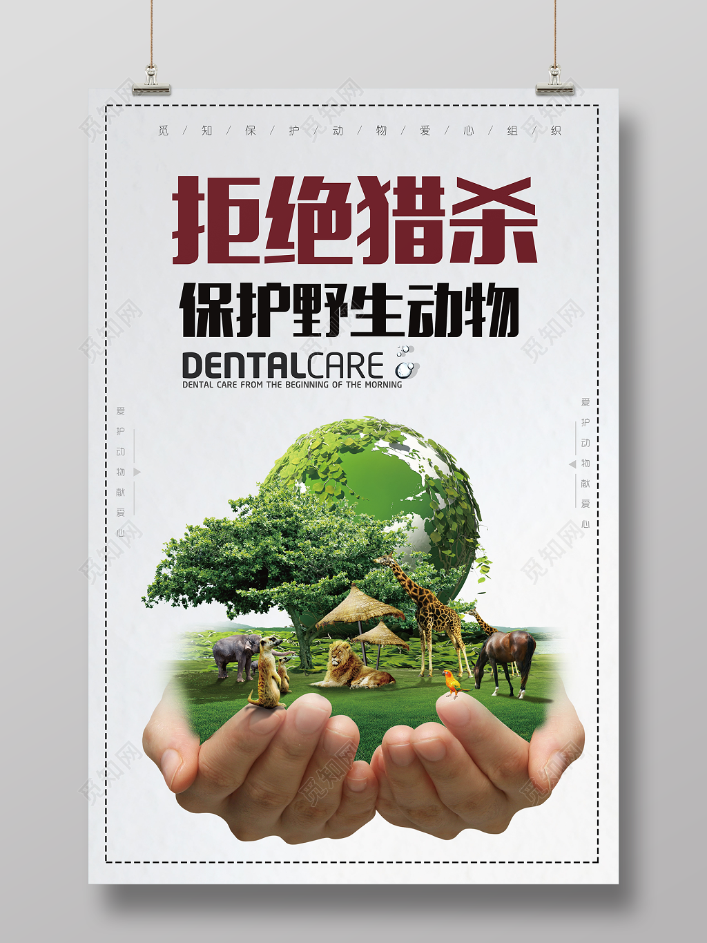 保护动物拒绝猎杀保护野生动物简约动物园海报
