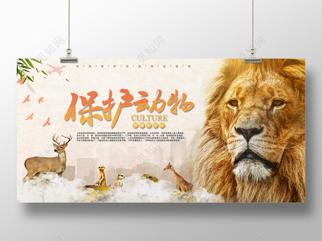 保护动物热爱地球村狮子动物群动物园公益展板