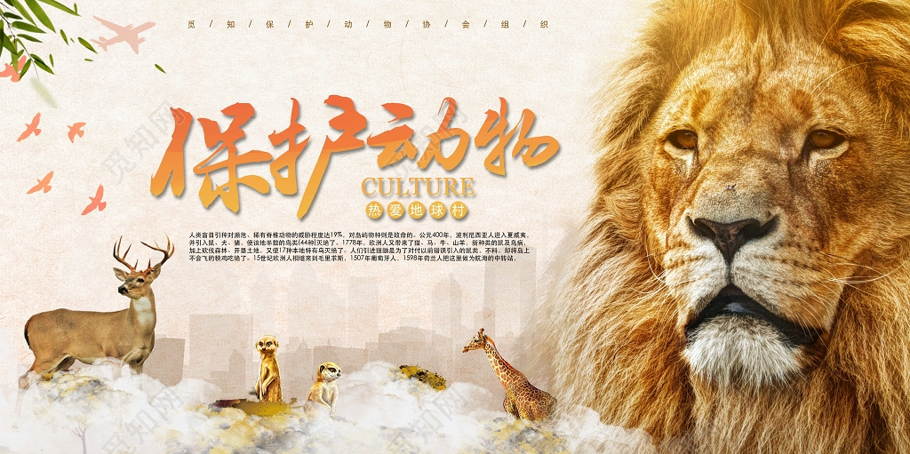 保护动物热爱地球村狮子动物群动物园公益展板