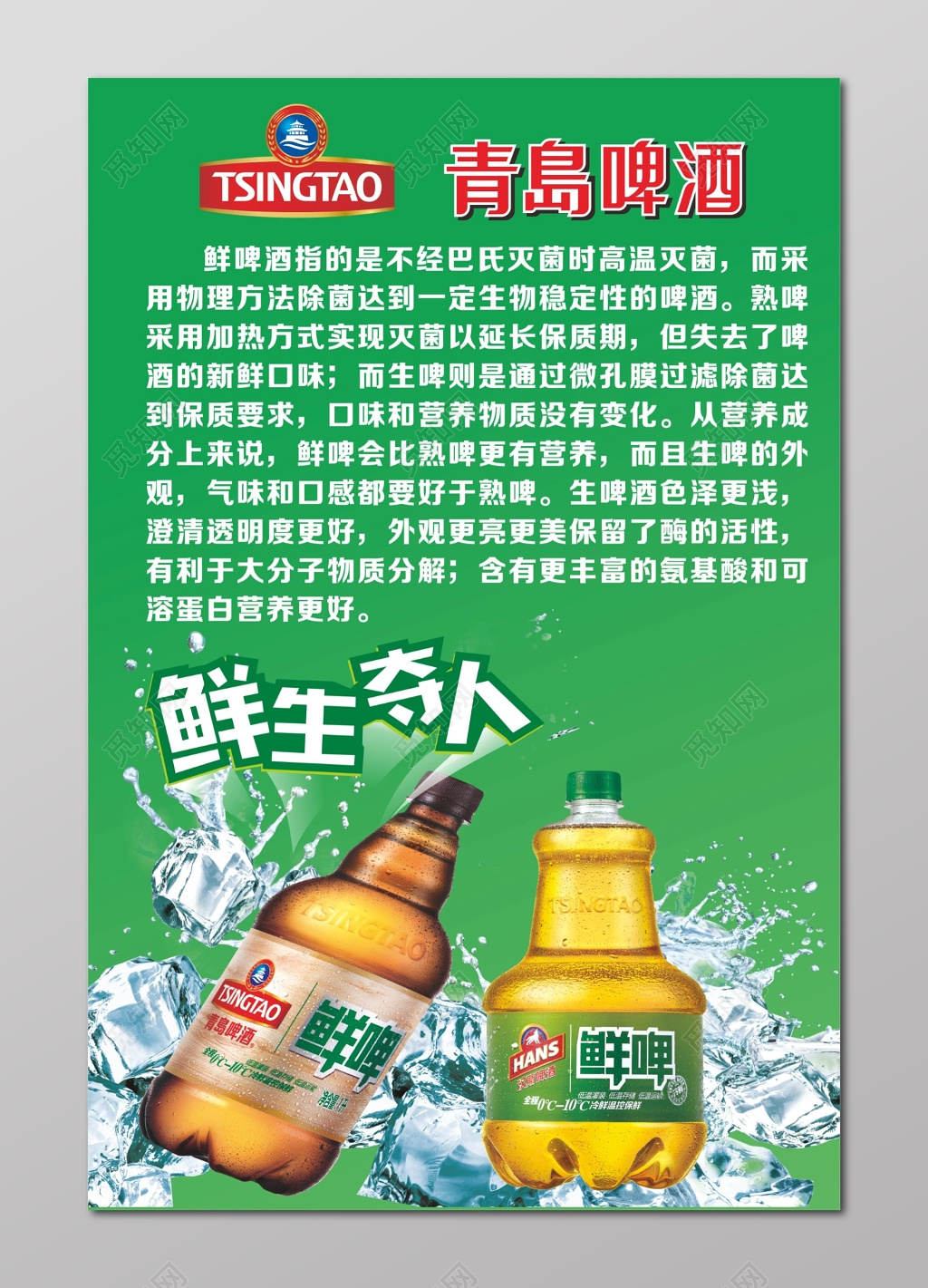 青岛啤酒海报啤酒简介